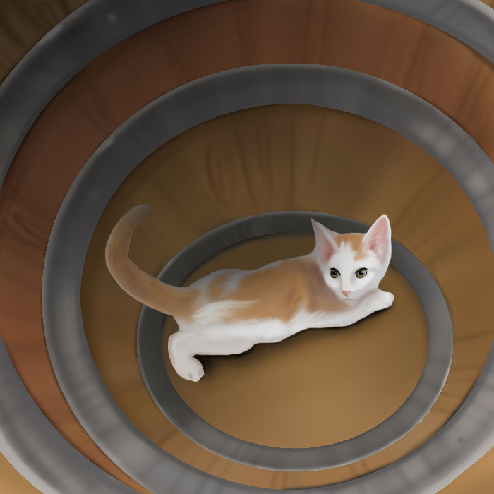 kitten in barrel
