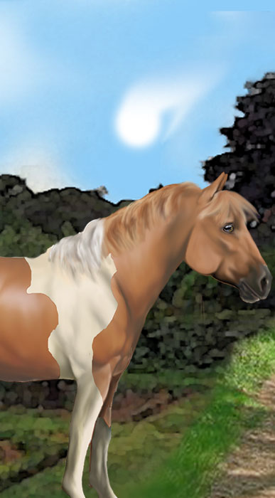 paint pony